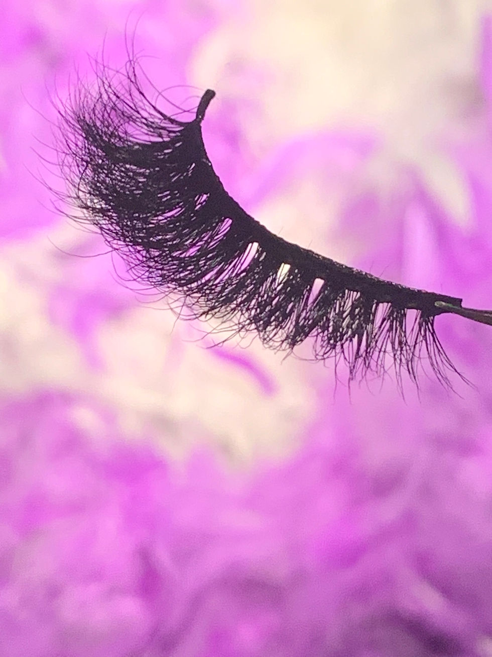 Thumbnail: Sensation