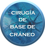 Link_Cirugia_de_Base_de_Cru00e1neo2.png