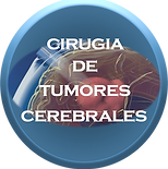 Link Cirugia de tumores cerebrales2.png