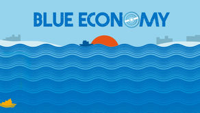What is Bule economy?