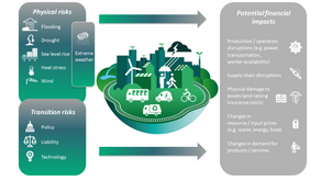Physical Risk and Transition Risk in Climate Change