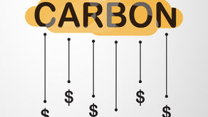 What is Carbon Pricing?