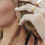 Miniature : Bague Tina