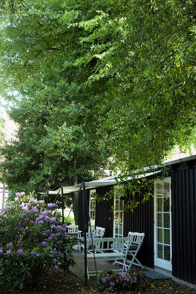 Haven ærø