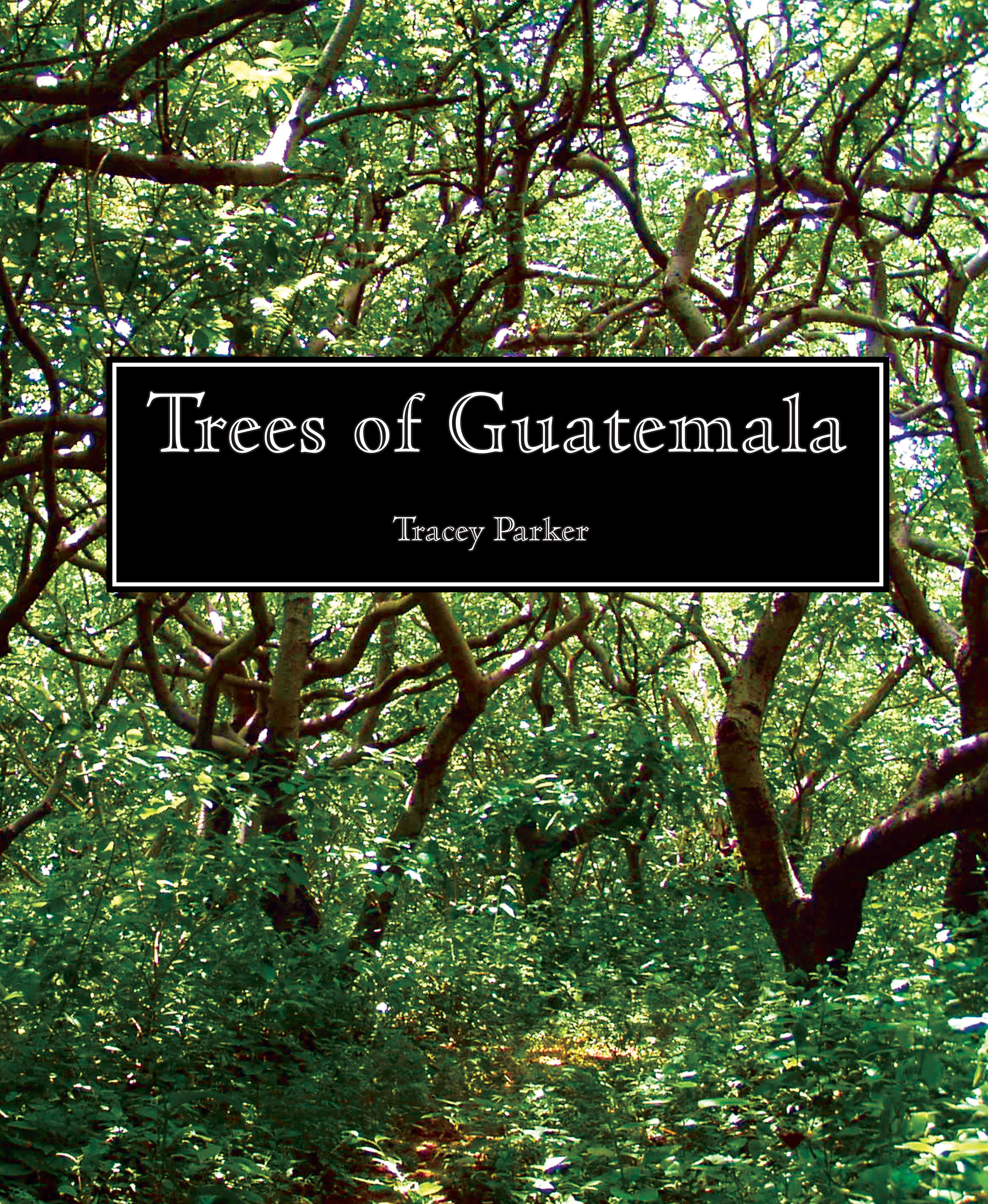 Trees of Guatemala