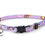 Thumbnail: Cattuccino - Pet Cat Break Away Collar with Bell