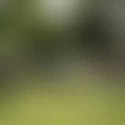 Camping de l'Oiselon