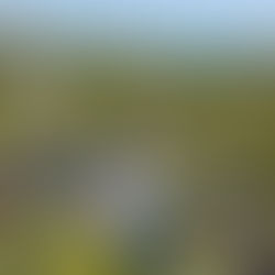 Camping Les Ourinières*** Vacances André Trigano