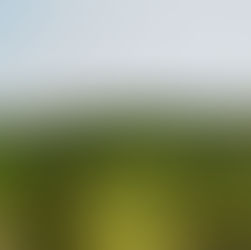 Camping du Domaine d'Anglas******