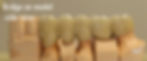 Bridge on model