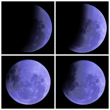 The Moon