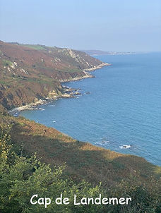 decouverte (2)_edited.jpg