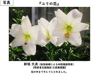 仁愛療護園　新垣大貞　脳性麻痺による四肢機能障害　ユリの花