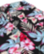 Thumbnail: Tropical Hibiscus