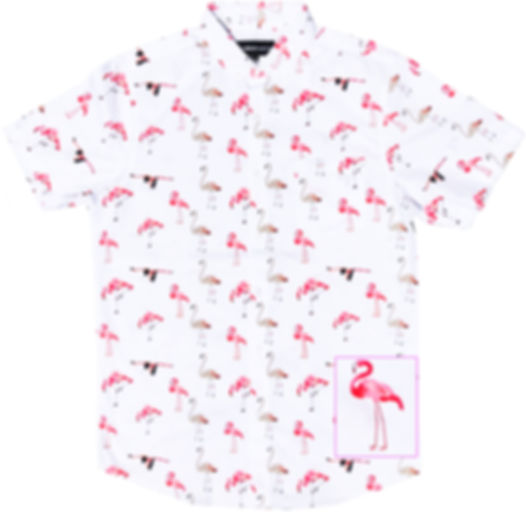Flamingo White