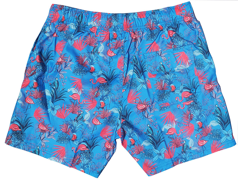Thumbnail: Flamingo Tropics