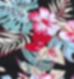 Thumbnail: Tropical Hibiscus