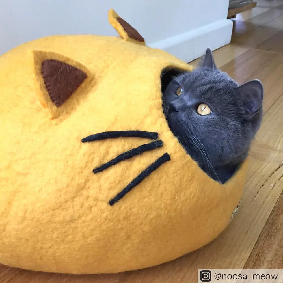 תמונה ממוזערת: Felt Cat Cave - Cat Head Yellow