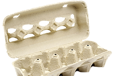 egg carton.png