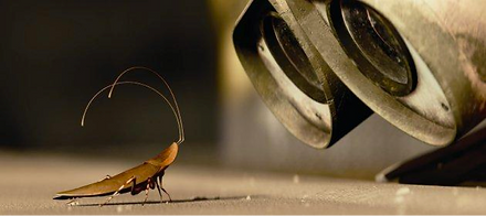 cockroach.png
