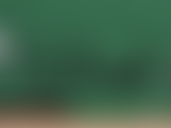 Mixed Feelings on Joliet Schools Levies