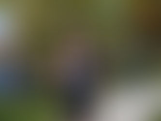 Schellig & Varsity Boys Win Crazy Mountain Meet