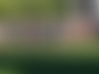 Joliet Cross Country Climbs Up Class B Rankings