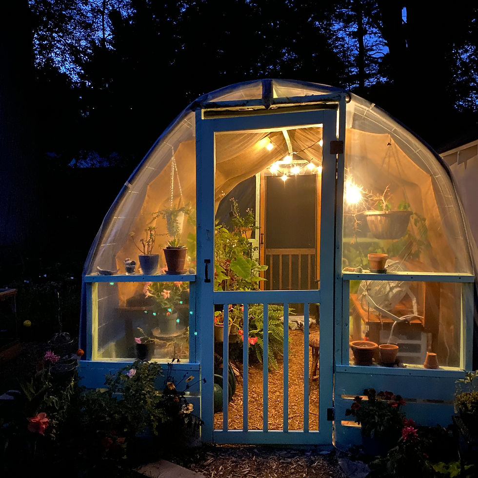Greenhouse with lights at night