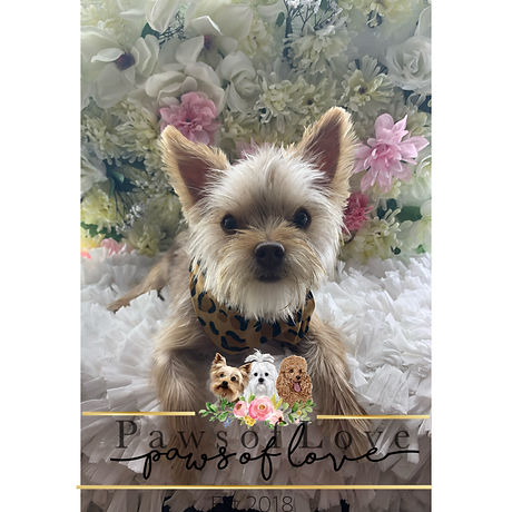 48CDCDBF-EF32-431E-9EFB-45732DB7E1CE.JPE