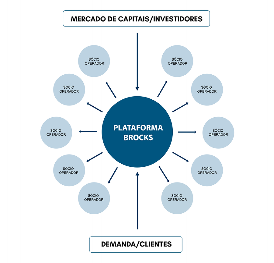 Organograma Gestão