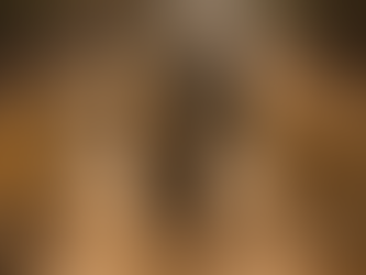 A rhino walking down a path unphased by lions attacking him, Rhino Skin: Resilience in a Culture of Offense