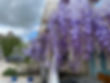 IMG_0032.jpeg