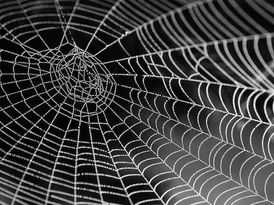 The benefits of networking in business - colleagues and connections in the voiceover world