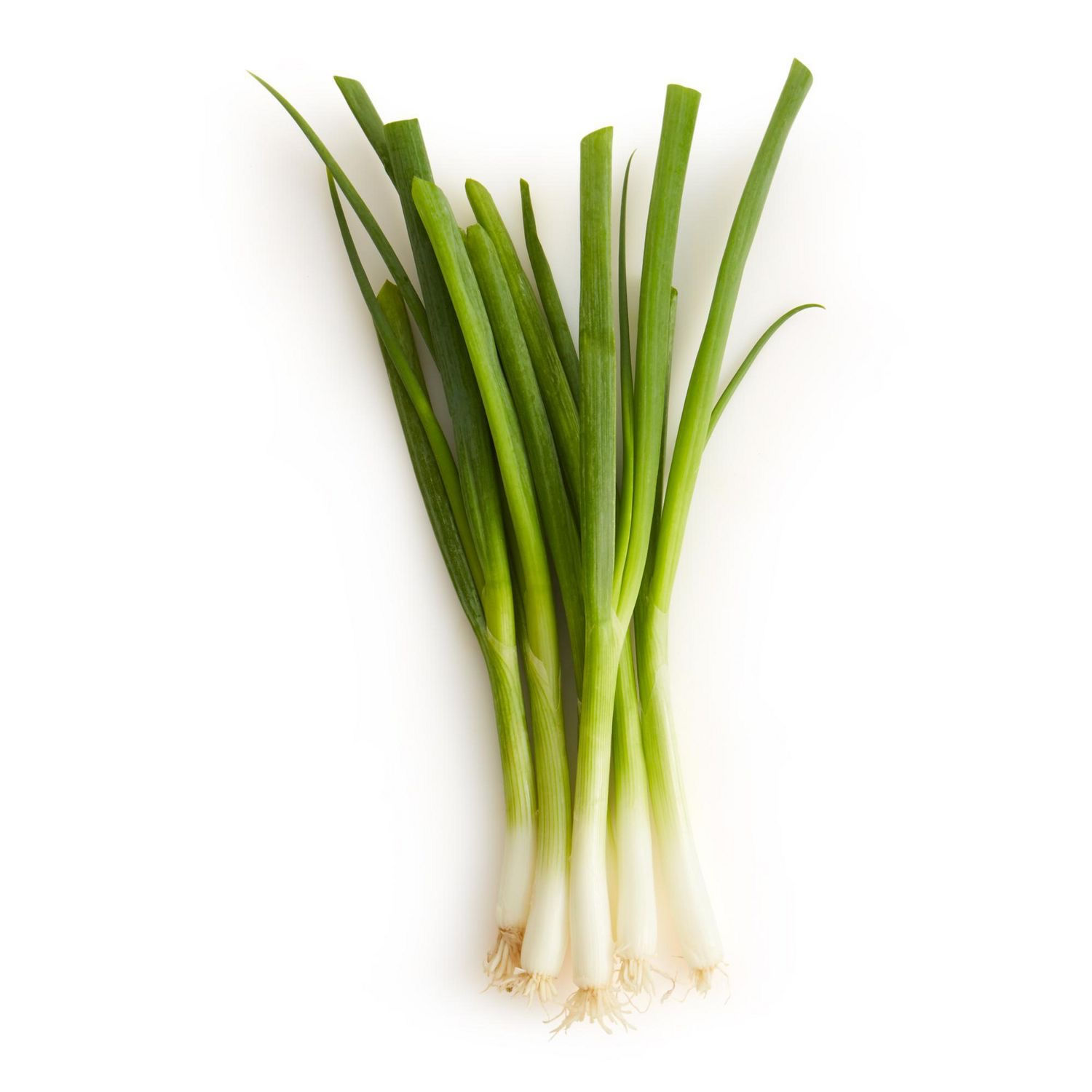 Feuille d’oignon