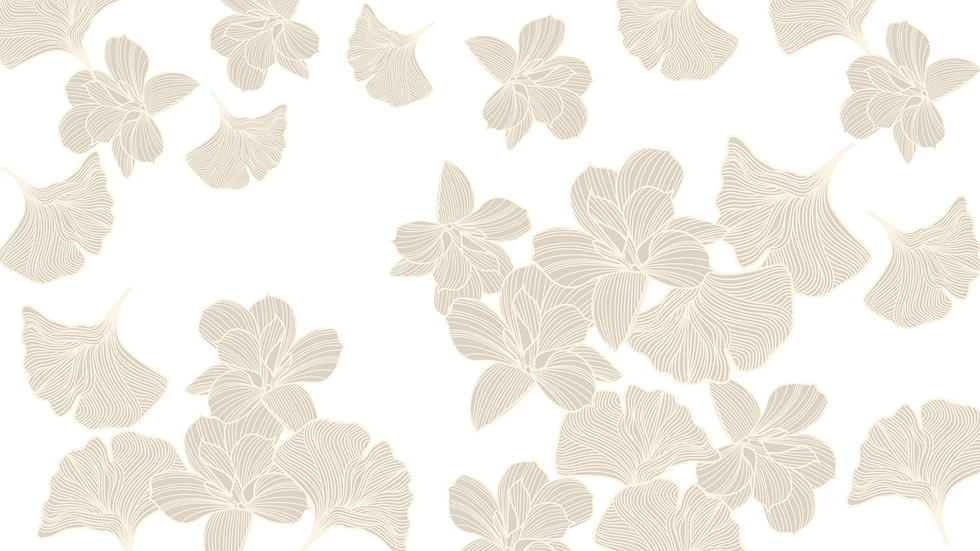 White Background copy.png