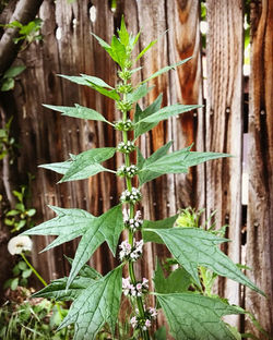 dd21ead2-b5c7-4447-8780-bc5aa825c42a