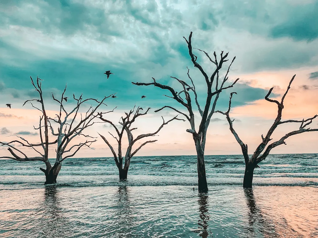 Botany Bay Heritage Wildlife Refuge at sunrise