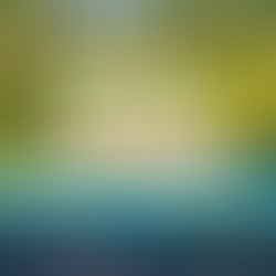 Jalapão no Korubo Safari Camp baixa temporada 2024