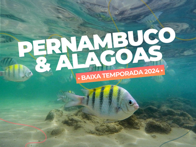 Pernambuco e Alagoas baixa temporada 2024