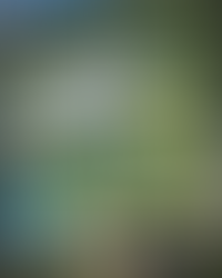 🌴 Descubra o paraíso em Comandatuba! 🌊