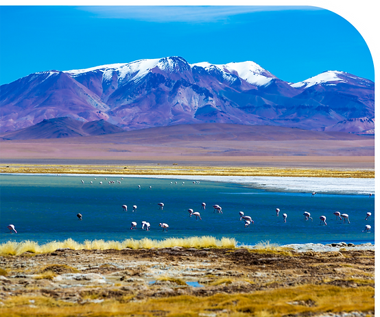 Grupos Disney Fantastic FAMÍLIA.png