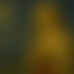 2025.28 La Plegaria.