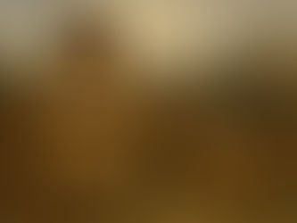 2025.51 La Mujer como núcleo humano.