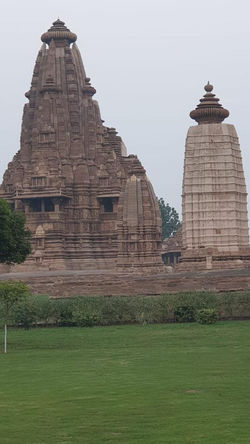 WhatsApp Image 2019-04-07 at 7.17.00 PM 