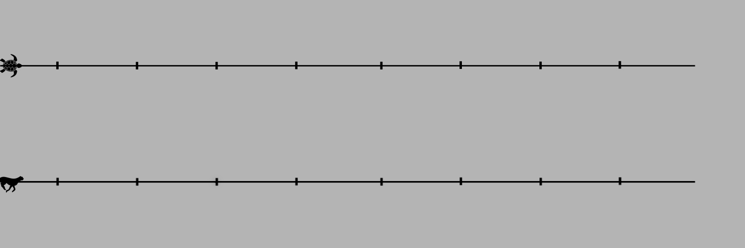 process.gif
