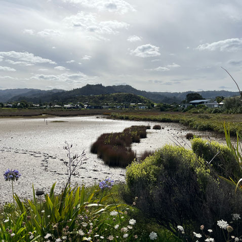 Coastal landscape design, Tairua