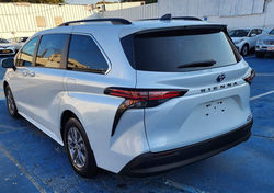 WhatsApp Image 2026-03-29 at 12.33.30 (2)