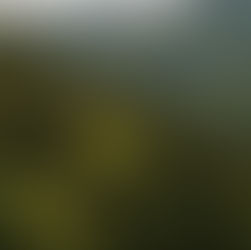 Northern Spain Asturias