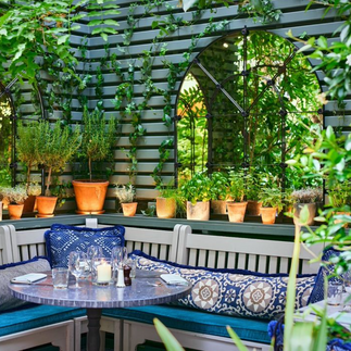 Ivy Chelsea Garden