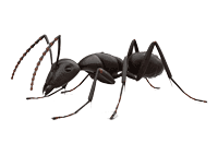 111.gif